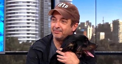 Ricardo Darín encontró un perro en la calle y apareció en la TV para ubicar al dueño - SNT