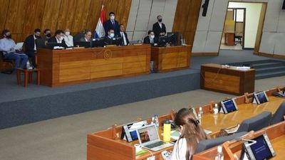Director de Aduanas y senador acuden ante comisión legislativa