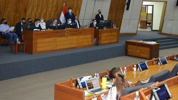 Director de Aduanas y senador acuden ante comisión legislativa