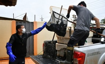 Entregan 200 kilos de pescado a hogares y comedores
