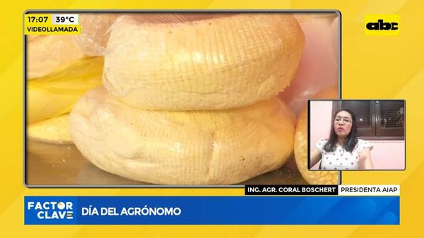Día del agrónomo: ¿Cómo trabaja el sector? - Factor Clave - ABC Color