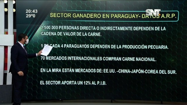 Economía en destaque: Sector ganadero en Paraguay - SNT
