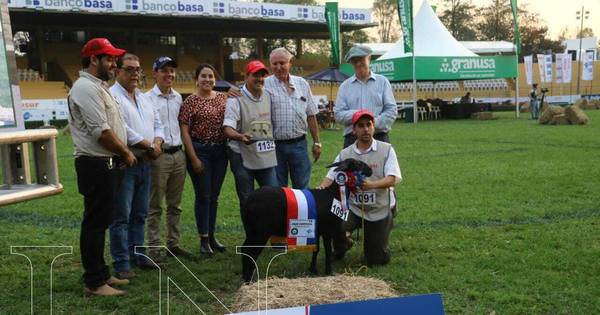 La Nación / Expo Ganadera: sector ovino registra crecimiento sostenido en su producción