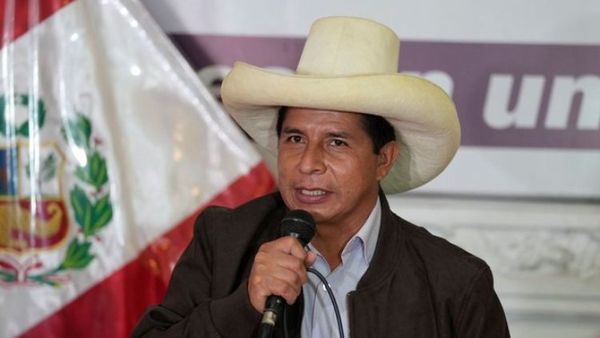 Castillo niega ante la OEA que su gobierno sea comunista