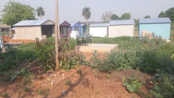 Crónica / VECINOS DE TERROR. “El cementerio entró ya en mi patio”