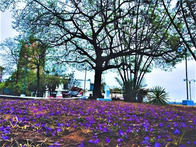 El inicio de la primavera estará fresco e inestable - .::Agencia IP::.