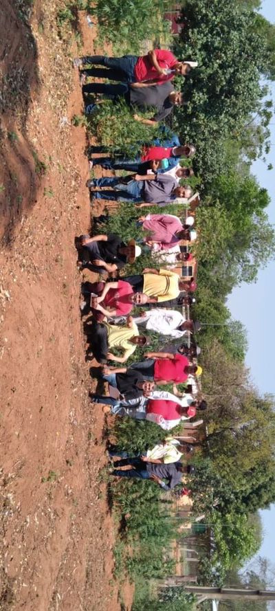 En San Pedro campesinos inician la producción del  aceite de cannabis - Nacionales - ABC Color