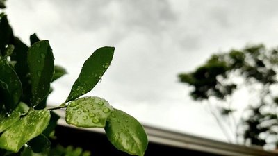 Primavera ingresa con descensos de temperaturas y lluvias - ADN Digital