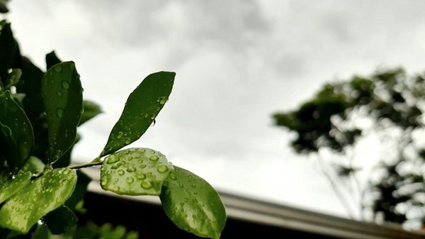 Primavera ingresa con descensos de temperaturas y lluvias - ADN Digital