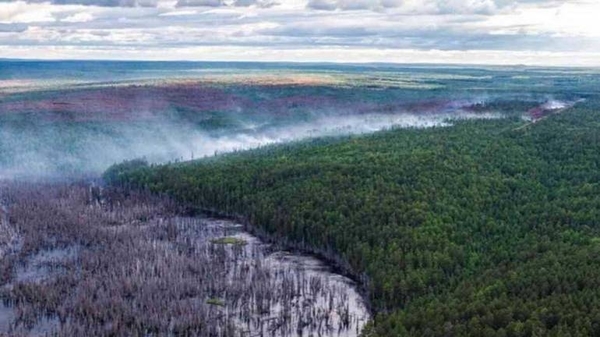 Diario HOY | Incendios forestales en el hemisferio norte provocaron récord de emisiones de CO2