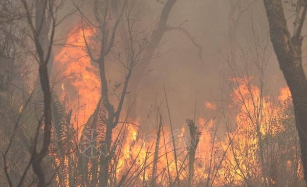 Diario HOY | Detectan 243 puntos de calor a nivel país en las últimas 24 horas