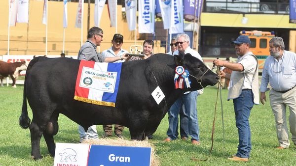 Foto del día: Primeros campeones