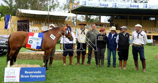 La Nación / Ganadera Chajha se alzó con principales premios en la categoría hembra de la raza criolla