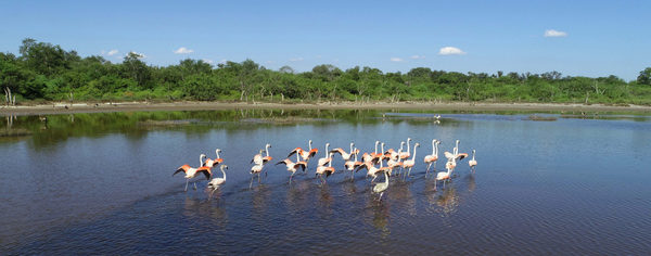 Campamento Laguna Capitán, una maravilla del Chaco central