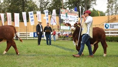 Expo Ganadera: lo que vas a encontrar para comer y pasar un buen rato