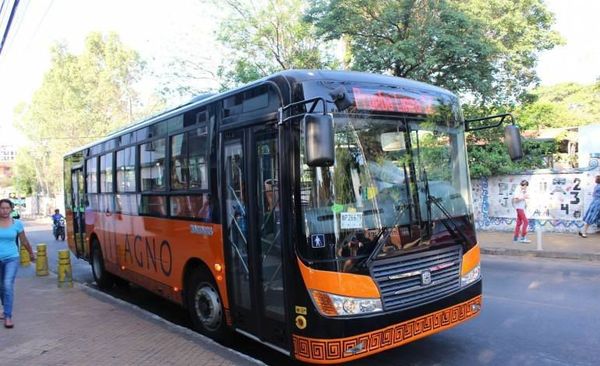 Las cuatro líneas de transporte que tendrán transbordo gratuito - Nacionales - ABC Color