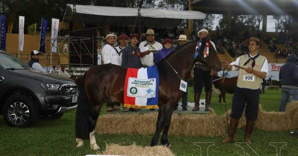 La Nación / Ejemplar de Ganadera Sofía se ubicó como el segundo mejor animal de la raza criolla