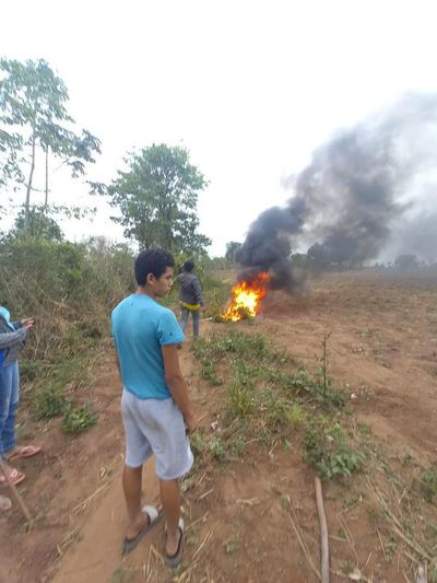 Hombre atacado por abejas fallece en Puentesiño - Nacionales - ABC Color
