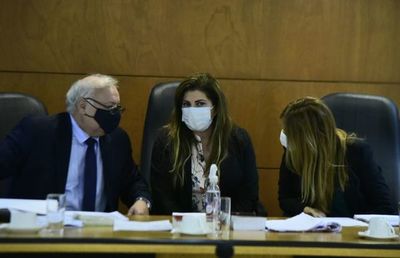 La condena por perturbación no tiene sustento, según Liliana Boccia - Nacionales - ABC Color
