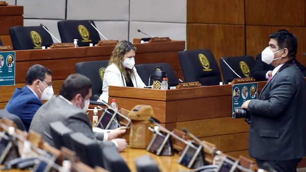 Diputados trata multa por no votar y cita para   interpelación