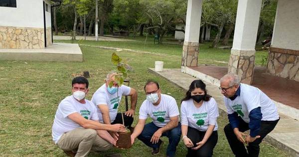 La Nación / Plantarán 50 mil arbolitos de especies nativas