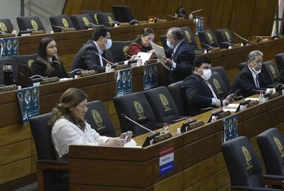 Diputados define hoy ley que declara la “muerte civil” de los electores - Nacionales - ABC Color