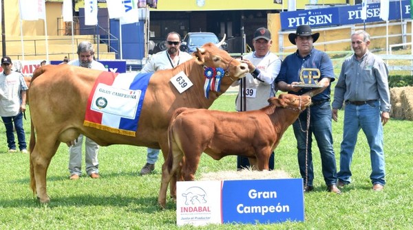 La 75° Expo Nacional de Ganadería eligió a los campeones de la primera jornada de juzgamiento