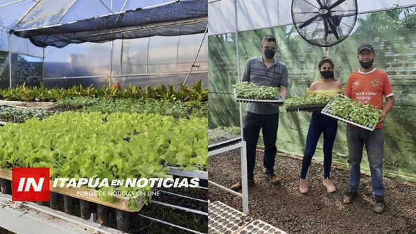 “UNA HUERTA EN CASA”: UNA ALTERNATIVA PARA LAS FAMILIAS DE ENCARNACIÓN