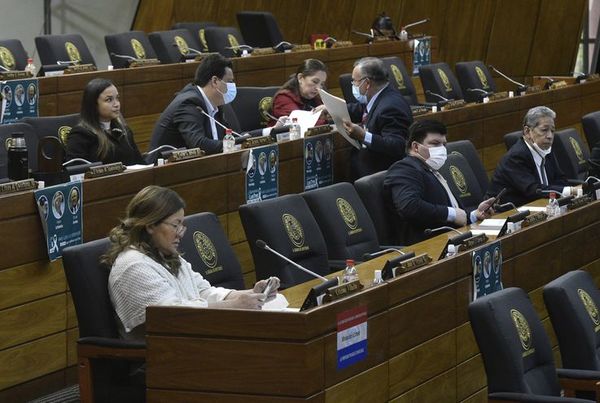 Diputados define hoy ley que declara la “muerte civil” de los electores - Noticiero Paraguay