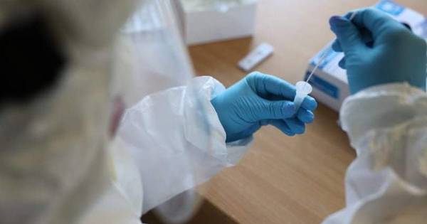 La Nación / Científicos descubren virus similar al del COVID-19 en murciélagos de Laos