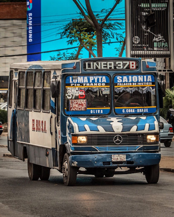 Transportistas dicen que no hay condiciones para operar - El Independiente