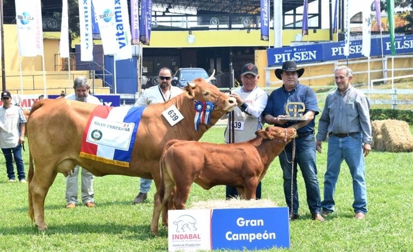 Diario HOY | Expo Ganadera eligió a los campeones de la primera jornada de juzgamiento