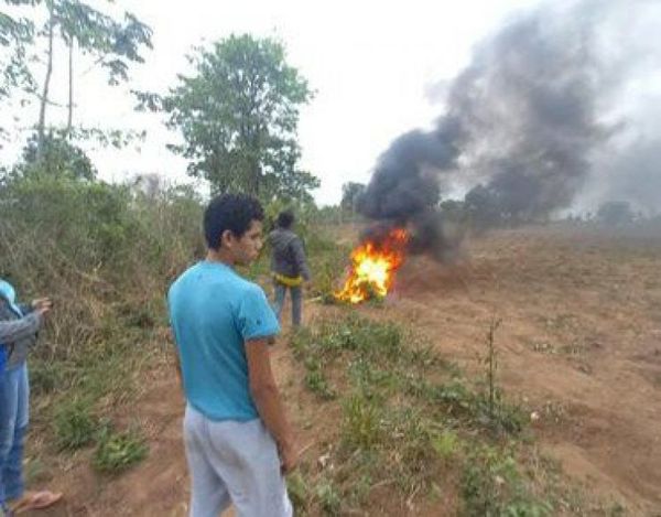 Hombre muere tras ser atacado por avispas en Puentesiño