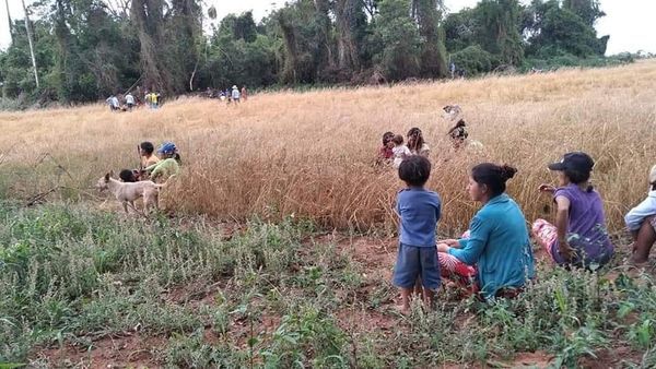 DENUNCIAN A COLONOS MENONITAS POR INVADIR TIERRAS CONSIDERADAS ANCESTRALES - La Voz del Norte