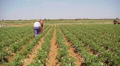 Presentan la reedición del “Manual para establecimientos rurales” | Ñanduti