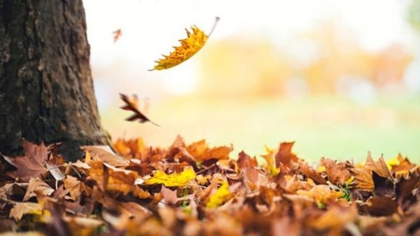 Cosas que probablemente no sabías del Equinoccio de Otoño