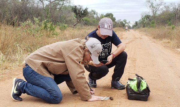 Denuncian apertura ilegal de camino en área protegida del Parque Defensores del Chaco