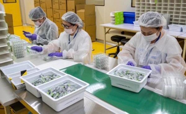 Prueban vacuna taiwanesa en Fundación Tesãi