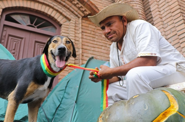 Penoco, el perro marchista que acompañó la caminata de indígenas bolivianos - MarketData