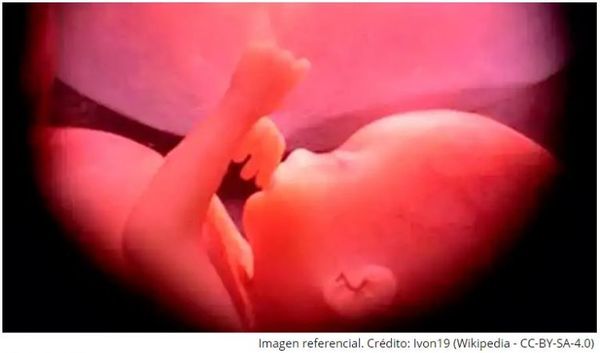 Arzobispo llama a nuevo proyecto de ley de aborto “sacrificio de niños