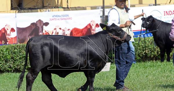 La Nación / Remates de animales ya suman el 35% de las ventas previstas