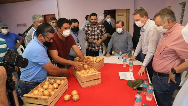 Acuerdan venta directa de cebolla de Paraguarí