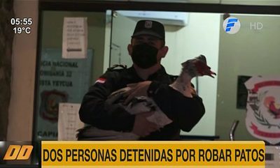 Dos personas detenidas por supuestamente robar patos | Telefuturo