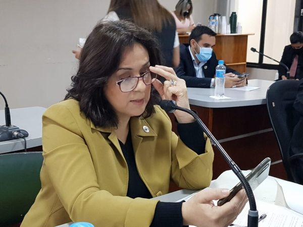 Presentan en la Junta Departamental caso del despojo de tierras en Minga Guazú - La Clave