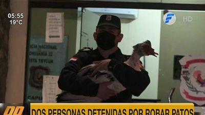 Dos hombres detenidos por intentar robar patos en Capiatá