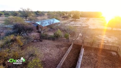 Chacra Experimental Fernheim: más de 75 años dedicados al mejoramiento productivo