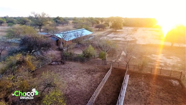 Chacra Experimental Fernheim: más de 75 años dedicados al mejoramiento productivo