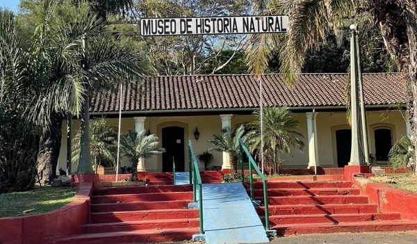 Diario HOY | Museo y zoológico de Asunción seguirán cerrados al público: “Pueden ser foco de contagio”