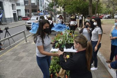 Hay flores pero no agua para regarlas en las plazas, asegura municipalidad - Nacionales - ABC Color