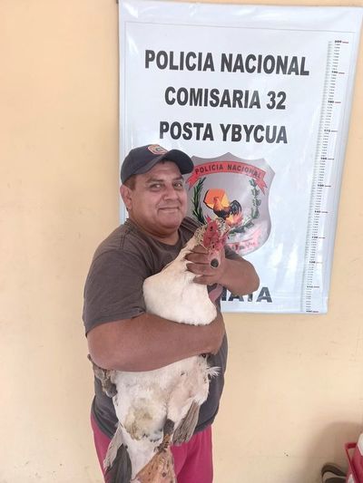 Final feliz: el pato ya está en casa - Nacionales - ABC Color